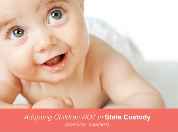 Choosing a Worker--Adopting Children not in State Custody (Domestic Adoption)