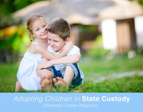 Choosing a Worker--Adopting Children in State Custody (Domestic Foster Adoption)