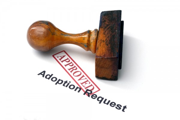 Domestic Infant Adoption Finalization