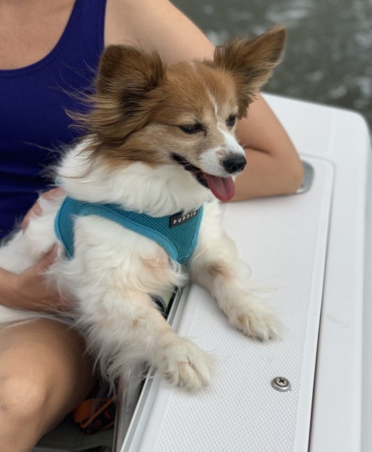 Bailey loves being on the water!