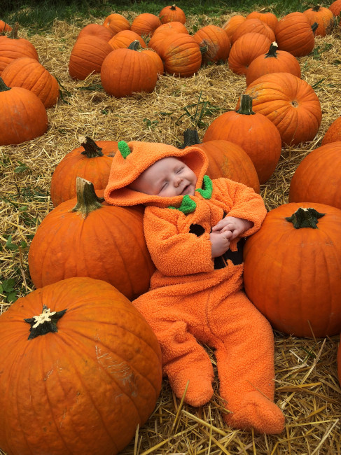 We picked a good pumpkin. 
