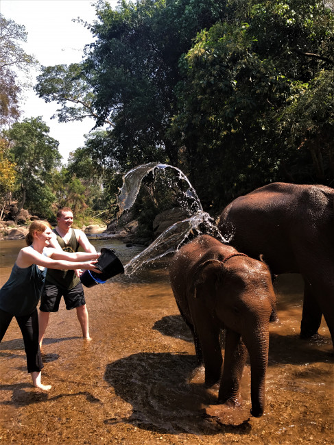 Bathing elephants in Chiang Mai, Thailand