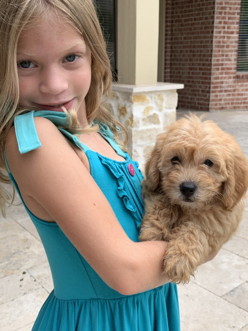 In July 2020, Honey Bear joined our family. 