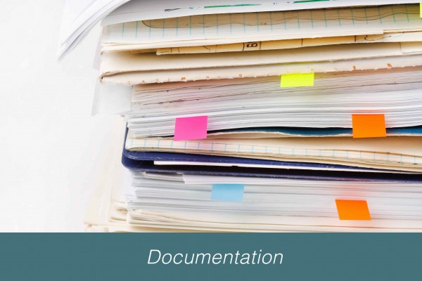 The Process--Documentation
