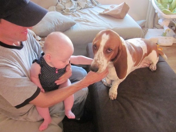 Man’s Best Friend…and Baby’s too