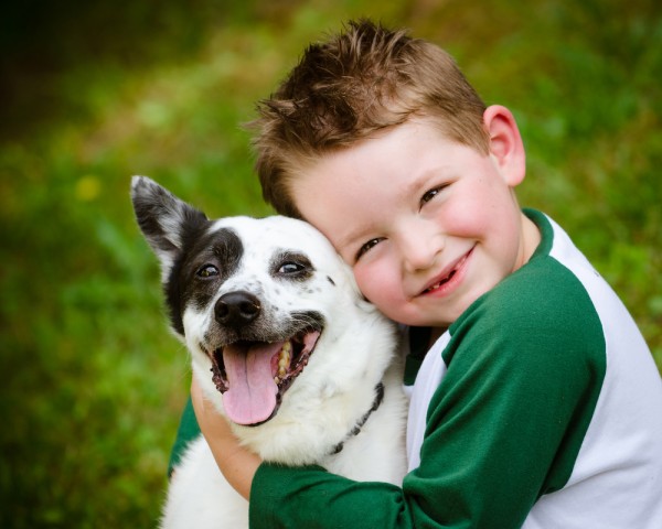 <b>Foster Adoption: Children Available for Foster Adoption in Maryland</b>