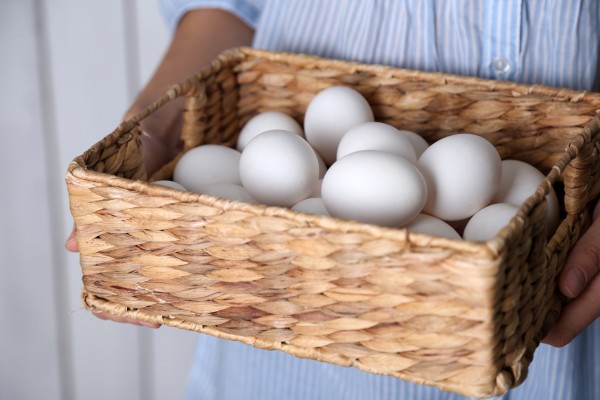 Don’t put all your eggs in one basket. 
