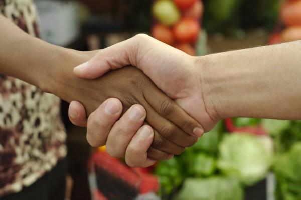 Domestic Infant Adoption: Finalization