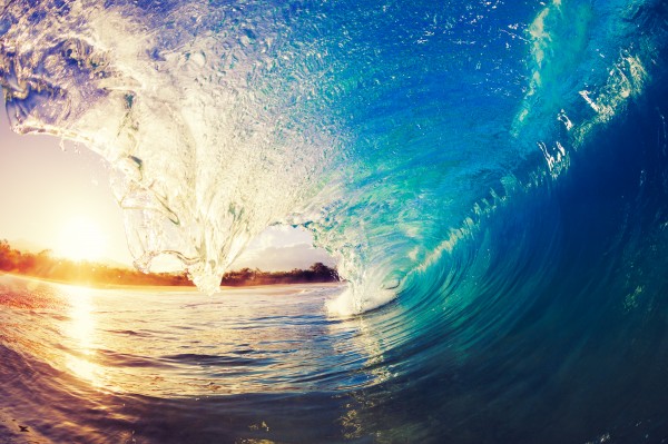 “You cannot stop the waves, but you can learn to surf.”