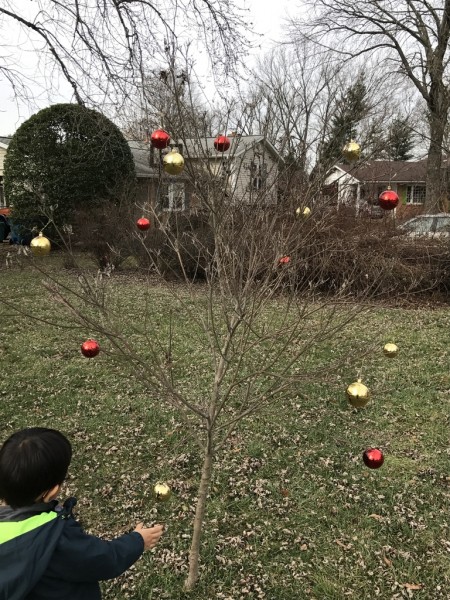 Decorating for Chinese New Year