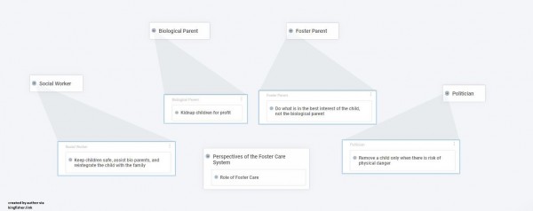 perspectives of the foster care system 2