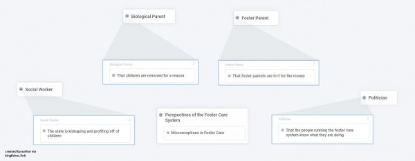 perspectives of the foster care system 4