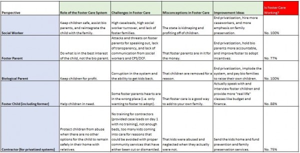 perspectives of the foster care system 6