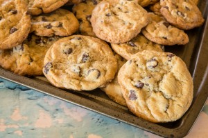 chocolate chip cookies