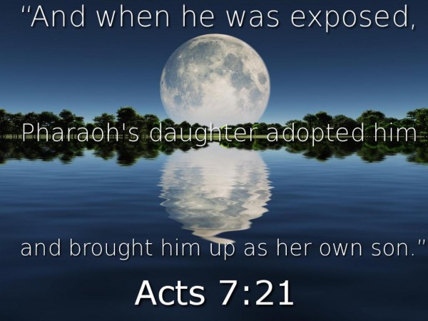 Acts 7:21 