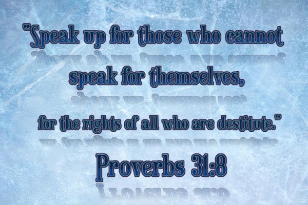 Proverbs 31:8 