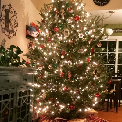 The holidays, and especially Christmas. We go crazy decorating our house   And we pick out our tree at a local Farm each year.  It’s the best!