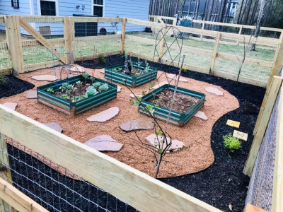 We enjoy growing different kinds of veggies in our vegetable garden! We have grown carrots, cucumber, cabbage, jalapeños and more!