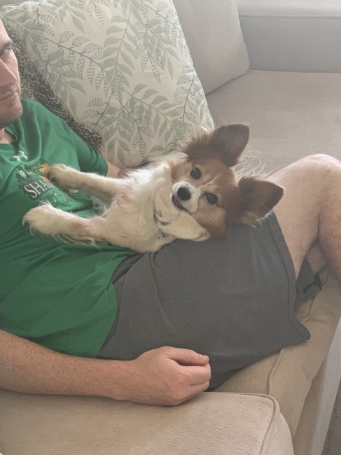 Lounging with dad.