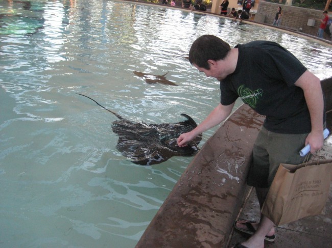 Petting a sting ray. They are surprisingly friendly and love attention.