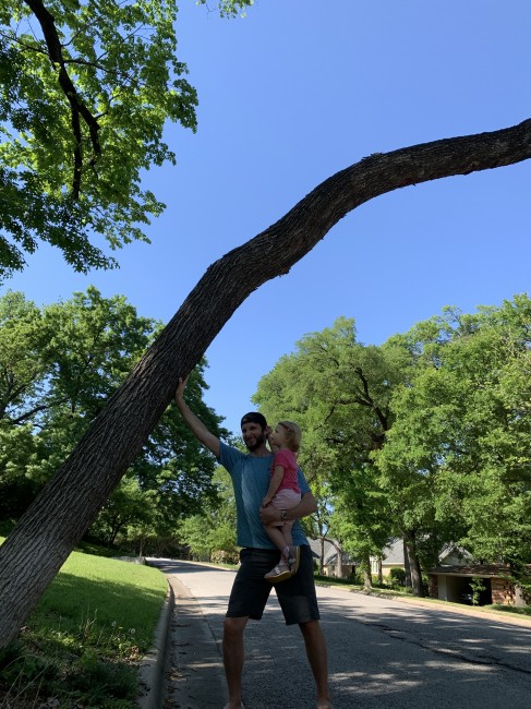 Dad is so strong holding up this tree!