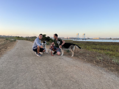 Out for a morning run with our dogs. (one dog has passed since this picture). 