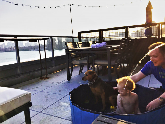 We have a terrace where we set up a pool for Finn and Huntley in the summer.  Finn likes it more than Huntley.
