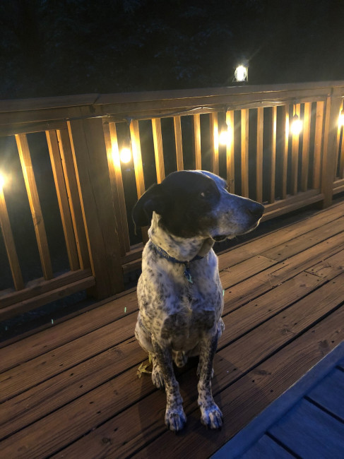 Nighttime patio visits 