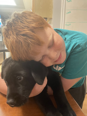 Tanner has always been too much energy for our miniature dachshund, so we figured a black lab would be perfect.  So far, Tanner is getting a taste of his own medicine from this growing dog!