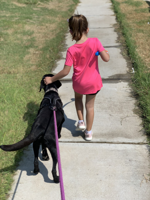 Our niece and our dog Bella on a walk.