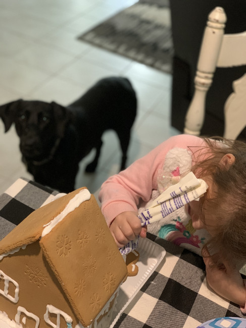Bella helping our niece with her gingerbread house. 