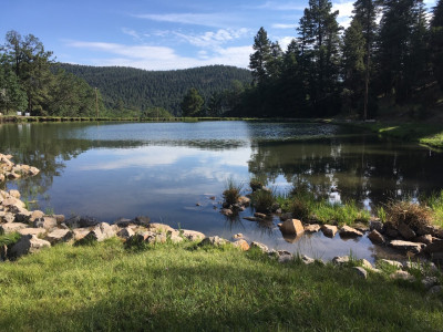 This pond was right down the street from our cabin. 