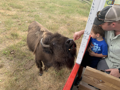 We LOVE to travel and experience new things...like taking a bison tour in Cheyenne, Wyoming!