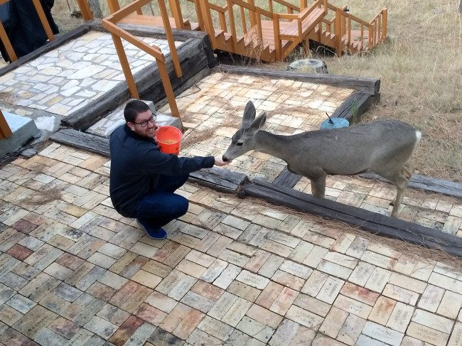 Jarrett feeding the deer.