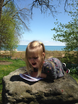 Tessie's favorite sitting rock at the lakefront