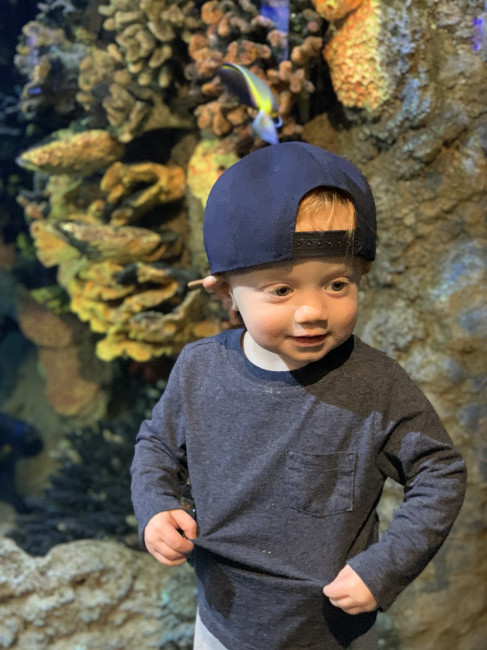 Cullen at an Aquarium, 20 months old