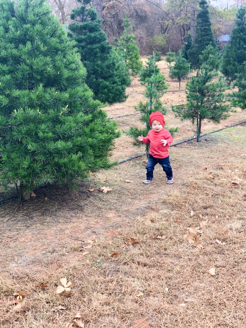 Cullen picking out a Christmas Tree!