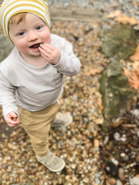 Cullen tryin' to eat rocks at the lake on a hike.