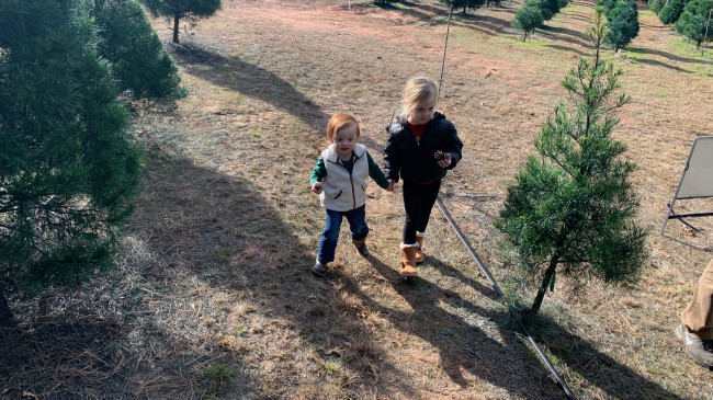 Hunter and Cullen trying to find the cousin's tree.