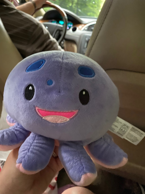 We got a new friend at the National Aquarium to bring home and add to our stuffed animal collection for the future! Meet Ophelia the octopus!