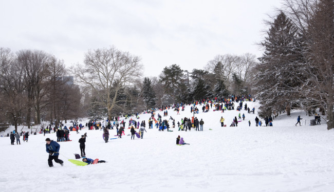 On snow days, so many people spill in to the park to take advantage of some family time fun by sledding! 