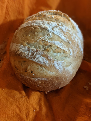 Sam loves to make bread, and his bread is special requested at family gatherings. He has a few loaf types he makes: artisan, whole wheat, gluten free, and sour dough. Be sure to ask to try a slice!
