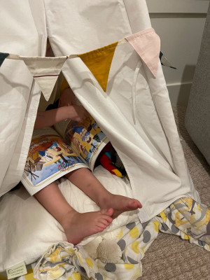 We love to read! We make an effort to have books readily available in all areas of our home and have cozy places to read them. The boys especially love snuggling up with their stuffies in this tent and looking through their favorite books. 