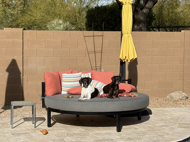 Our backyard daybed. It is amazing to sit and enjoy our beautiful weather.