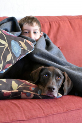 Blankets are the best! Especially getting to snuggle with our nephew.