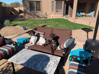 The girls enjoying our back patio.
