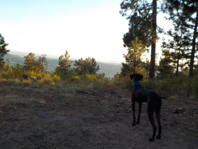 We camped right at the edge of a cliff. Stunning views.