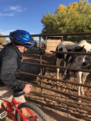 We went to visit a Horse Rescue in New Mexico that was near our hotel.  JoAnna has family in New Mexico. :)