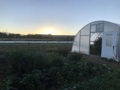 Sunrise on the farm