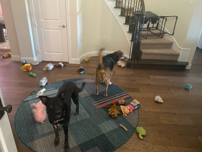 They love to dump out all their toys to play with!